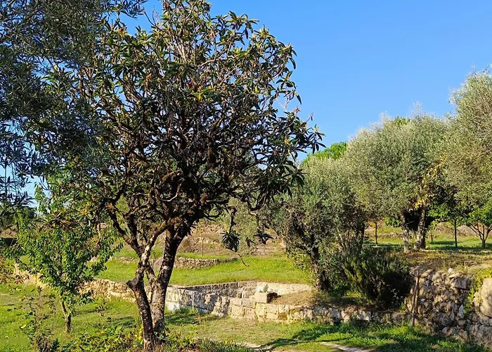 Летний дом Quinta Da Pedra Mija