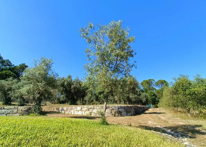 Quinta Da Pedra Mija Landsted