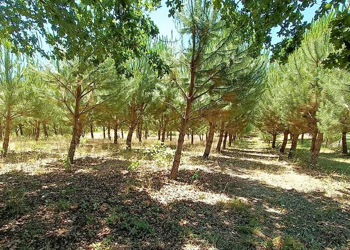 Landsted Quinta Da Pedra Mija Santar