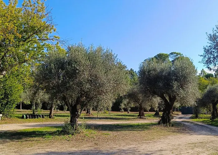 Quinta Da Pedra Mija Landsted