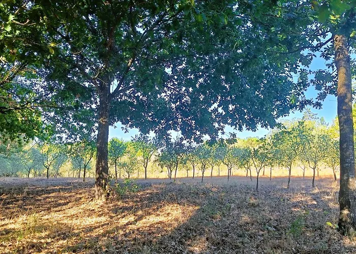 Летний дом Quinta Da Pedra Mija *
