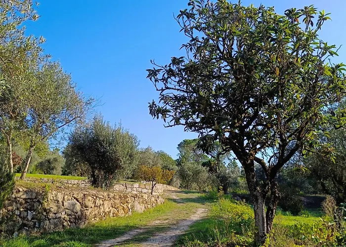 Quinta Da Pedra Mija Летний дом *