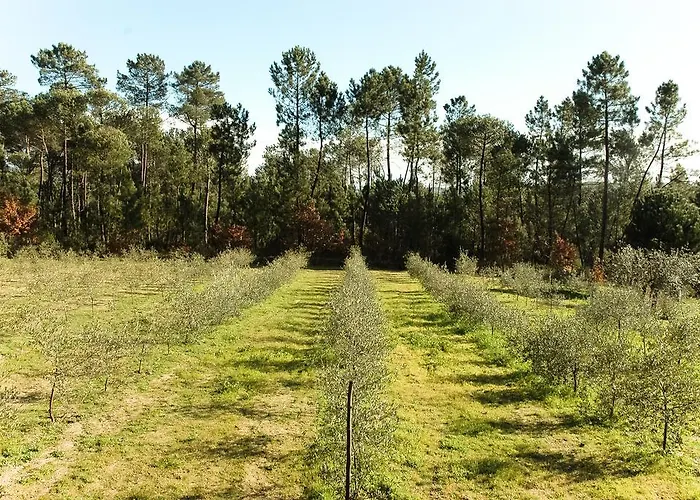 Landsted Quinta Da Pedra Mija Santar